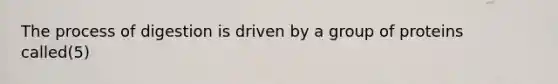 The process of digestion is driven by a group of proteins called(5)