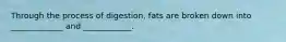Through the process of digestion, fats are broken down into _____________ and ____________.