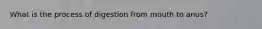 What is the process of digestion from mouth to anus?