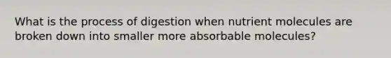 What is the process of digestion when nutrient molecules are broken down into smaller more absorbable molecules?