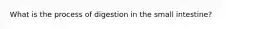 What is the process of digestion in the small intestine?