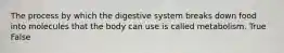 The process by which the digestive system breaks down food into molecules that the body can use is called metabolism. True False