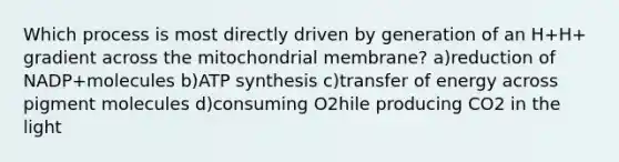 Which process is most directly driven by generation of an H+H+ gradient across the mitochondrial membrane? a)reduction of NADP+molecules b)ATP synthesis c)transfer of energy across pigment molecules d)consuming O2hile producing CO2 in the light