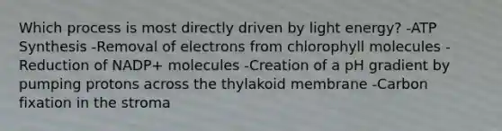 Which process is most directly driven by light energy? -<a href='https://www.questionai.com/knowledge/kx3XpCJrFz-atp-synthesis' class='anchor-knowledge'>atp synthesis</a> -Removal of electrons from chlorophyll molecules -Reduction of NADP+ molecules -Creation of a pH gradient by pumping protons across the thylakoid membrane -Carbon fixation in the stroma