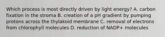 Which process is most directly driven by light energy? A. carbon fixation in the stroma B. creation of a pH gradient by pumping protons across the thylakoid membrane C. removal of electrons from chlorophyll molecules D. reduction of NADP+ molecules