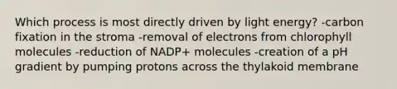 Which process is most directly driven by light energy? -carbon fixation in the stroma -removal of electrons from chlorophyll molecules -reduction of NADP+ molecules -creation of a pH gradient by pumping protons across the thylakoid membrane