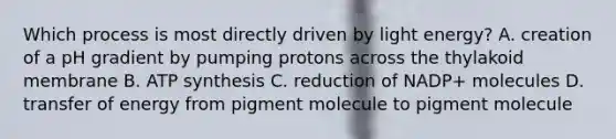 Which process is most directly driven by light energy? A. creation of a pH gradient by pumping protons across the thylakoid membrane B. ATP synthesis C. reduction of NADP+ molecules D. transfer of energy from pigment molecule to pigment molecule