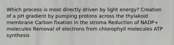 Which process is most directly driven by light energy? Creation of a pH gradient by pumping protons across the thylakoid membrane Carbon fixation in the stroma Reduction of NADP+ molecules Removal of electrons from chlorophyll molecules ATP synthesis