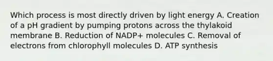 Which process is most directly driven by light energy A. Creation of a pH gradient by pumping protons across the thylakoid membrane B. Reduction of NADP+ molecules C. Removal of electrons from chlorophyll molecules D. ATP synthesis