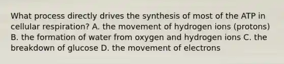 What process directly drives the synthesis of most of the ATP in cellular respiration? A. the movement of hydrogen ions (protons) B. the formation of water from oxygen and hydrogen ions C. the breakdown of glucose D. the movement of electrons