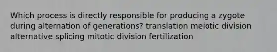 Which process is directly responsible for producing a zygote during alternation of generations? translation meiotic division alternative splicing mitotic division fertilization