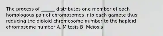 The process of ______ distributes one member of each homologous pair of chromosomes into each gamete thus reducing the diploid chromosome number to the haploid chromosome number A. Mitosis B. Meiosis