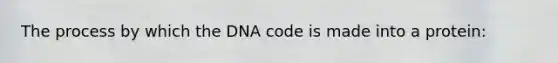 The process by which the DNA code is made into a protein: