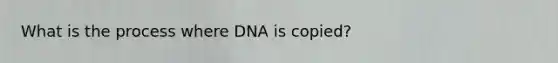 What is the process where DNA is copied?