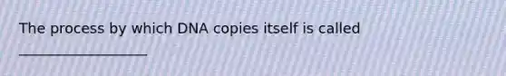 The process by which DNA copies itself is called __________________