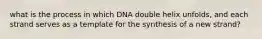 what is the process in which DNA double helix unfolds, and each strand serves as a template for the synthesis of a new strand?