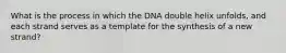 What is the process in which the DNA double helix unfolds, and each strand serves as a template for the synthesis of a new strand?