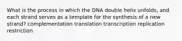 What is the process in which the DNA double helix unfolds, and each strand serves as a template for the synthesis of a new strand? complementation translation transcription replication restriction