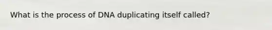 What is the process of DNA duplicating itself called?