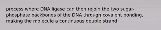 process where DNA ligase can then rejoin the two sugar-phosphate backbones of the DNA through covalent bonding, making the molecule a continuous double strand