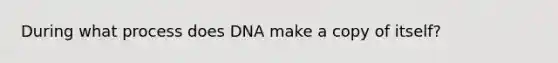 During what process does DNA make a copy of itself?