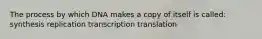 The process by which DNA makes a copy of itself is called: synthesis replication transcription translation