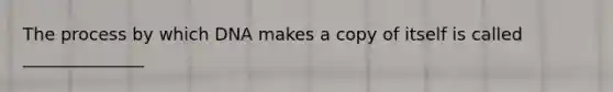 The process by which DNA makes a copy of itself is called ______________