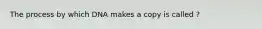 The process by which DNA makes a copy is called ?