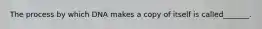 The process by which DNA makes a copy of itself is called_______.