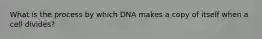 What is the process by which DNA makes a copy of itself when a cell divides?