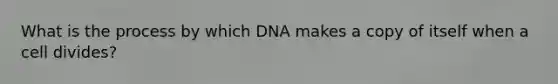 What is the process by which DNA makes a copy of itself when a cell divides?