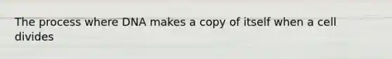 The process where DNA makes a copy of itself when a cell divides
