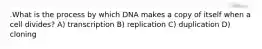 .What is the process by which DNA makes a copy of itself when a cell divides? A) transcription B) replication C) duplication D) cloning