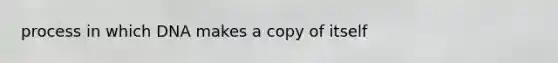 process in which DNA makes a copy of itself