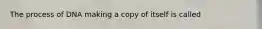 The process of DNA making a copy of itself is called