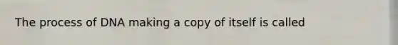 The process of DNA making a copy of itself is called