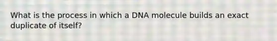 What is the process in which a DNA molecule builds an exact duplicate of itself?