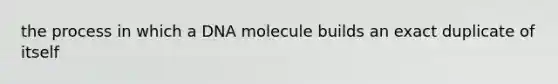 the process in which a DNA molecule builds an exact duplicate of itself