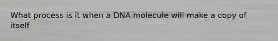 What process is it when a DNA molecule will make a copy of itself