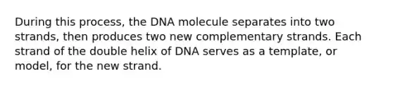 During this process, the DNA molecule separates into two strands, then produces two new complementary strands. Each strand of the double helix of DNA serves as a template, or model, for the new strand.