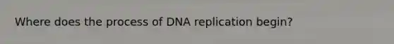 Where does the process of DNA replication begin?