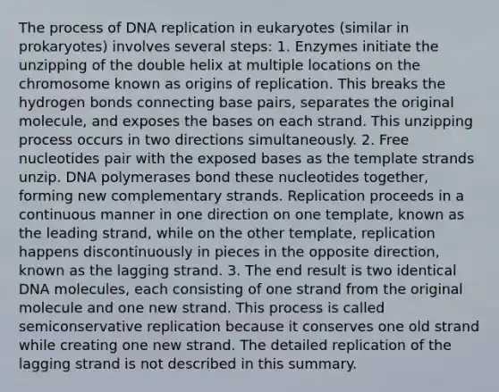 The process of DNA replication in eukaryotes (similar in prokaryotes) involves several steps: 1. Enzymes initiate the unzipping of the double helix at multiple locations on the chromosome known as origins of replication. This breaks the hydrogen bonds connecting base pairs, separates the original molecule, and exposes the bases on each strand. This unzipping process occurs in two directions simultaneously. 2. Free nucleotides pair with the exposed bases as the template strands unzip. DNA polymerases bond these nucleotides together, forming new complementary strands. Replication proceeds in a continuous manner in one direction on one template, known as the leading strand, while on the other template, replication happens discontinuously in pieces in the opposite direction, known as the lagging strand. 3. The end result is two identical DNA molecules, each consisting of one strand from the original molecule and one new strand. This process is called semiconservative replication because it conserves one old strand while creating one new strand. The detailed replication of the lagging strand is not described in this summary.