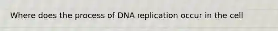 Where does the process of DNA replication occur in the cell