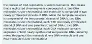 the process of DNA replication is semiconservative. this means that a replicated chromosome is composed of: a. two DNA molecules (sister chromatids). one molecule is composed of two newly synthesized strands of DNA, while the template molecule is composed of the two parental strands of DNA b. two DNA molecules (sister chromatids), each with one newly synthesized strand of DNA and one parental strand of DNA c. two DNA molecules (sister chromatids). each DNA molecule contains segments of both newly synthesized and parental DNA randomly mixed throughout the molecule d. one DNA molecule and one RNA molecule (sister chromatids)