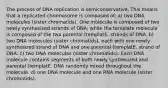 The process of DNA replication is semiconservative. This means that a replicated chromosome is composed of: a) two DNA molecules (sister chromatids). One molecule is composed of two newly synthesized strands of DNA, while the template molecule is composed of the two parental (templatE. strands of DNA. b) two DNA molecules (sister chromatids), each with one newly synthesized strand of DNA and one parental (templatE. strand of DNA. c) two DNA molecules (sister chromatids). Each DNA molecule contains segments of both newly synthesized and parental (templatE. DNA randomly mixed throughout the molecule. d) one DNA molecule and one RNA molecule (sister chromatids).