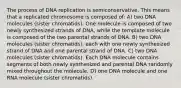 The process of DNA replication is semiconservative. This means that a replicated chromosome is composed of: A) two DNA molecules (sister chromatids). One molecule is composed of two newly synthesized strands of DNA, while the template molecule is composed of the two parental strands of DNA. B) two DNA molecules (sister chromatids), each with one newly synthesized strand of DNA and one parental strand of DNA. C) two DNA molecules (sister chromatids). Each DNA molecule contains segments of both newly synthesized and parental DNA randomly mixed throughout the molecule. D) one DNA molecule and one RNA molecule (sister chromatids).