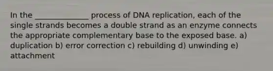 In the ______________ process of <a href='https://www.questionai.com/knowledge/kofV2VQU2J-dna-replication' class='anchor-knowledge'>dna replication</a>, each of the single strands becomes a double strand as an enzyme connects the appropriate complementary base to the exposed base. a) duplication b) error correction c) rebuilding d) unwinding e) attachment