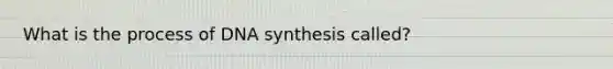 What is the process of DNA synthesis called?