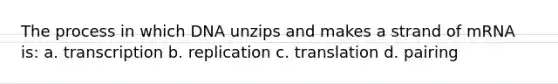 The process in which DNA unzips and makes a strand of mRNA is: a. transcription b. replication c. translation d. pairing