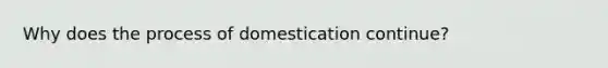 Why does the process of domestication continue?